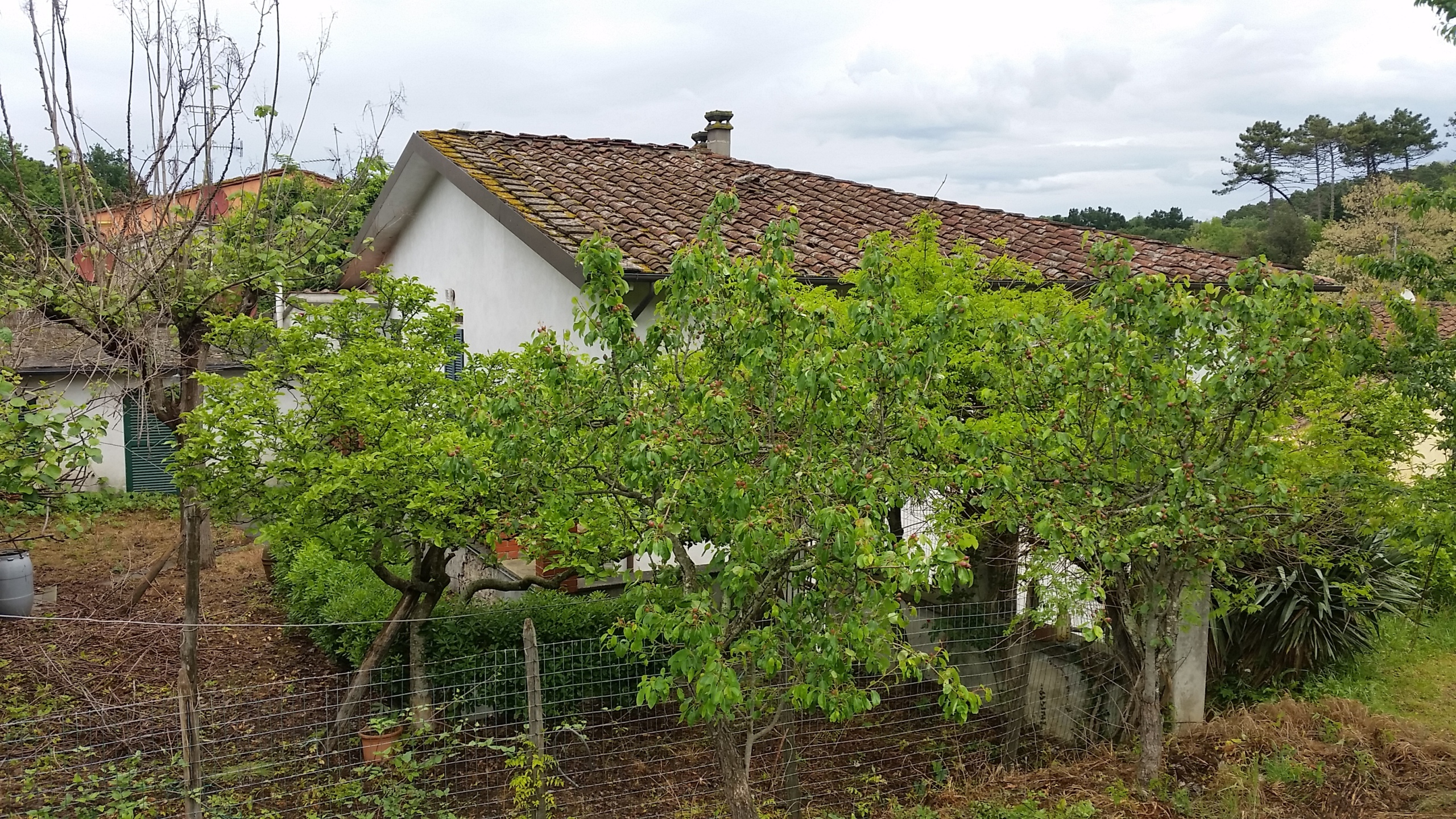 Rustico con giardino in via dei bozzi 3591, Lucca