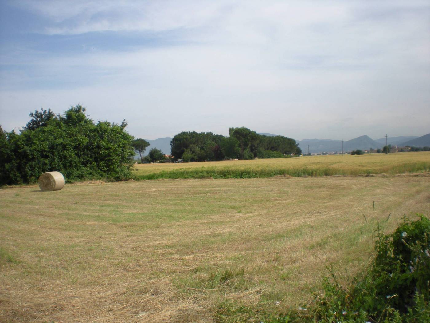 Terreno Agricolo in vendita in via carrara, Capannori