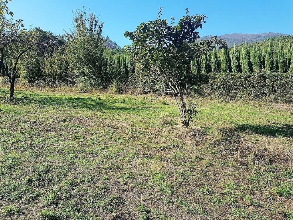 Terreno Agricolo in vendita in via dei porcaresi, Lucca