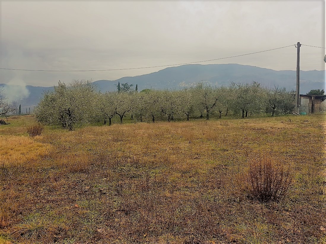 immagine annuncio 2 di 6