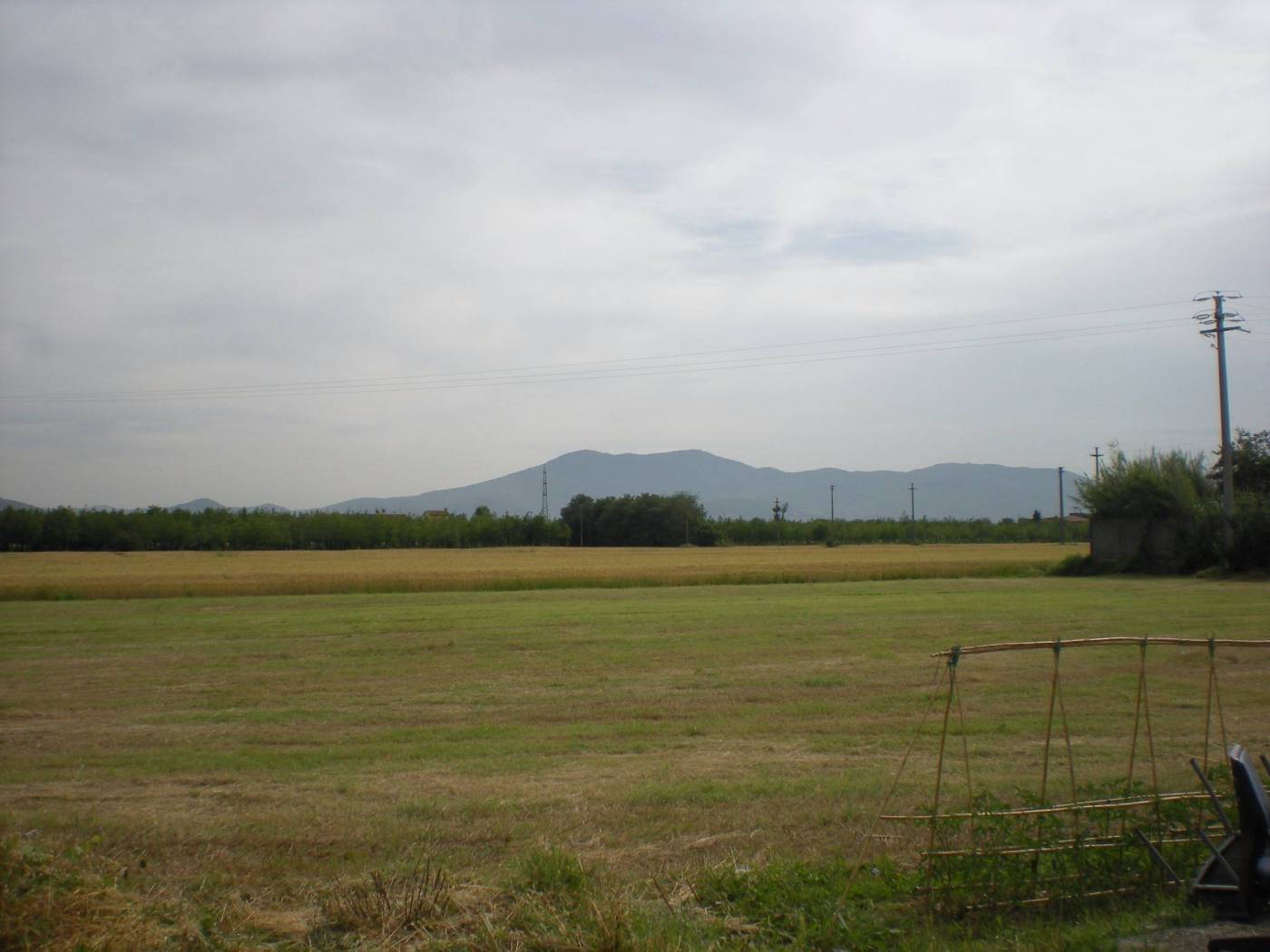 immagine annuncio 3 di 6
