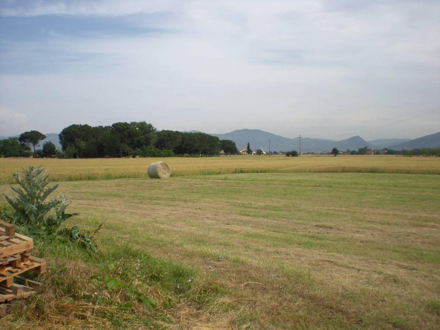 immagine annuncio 4 di 6