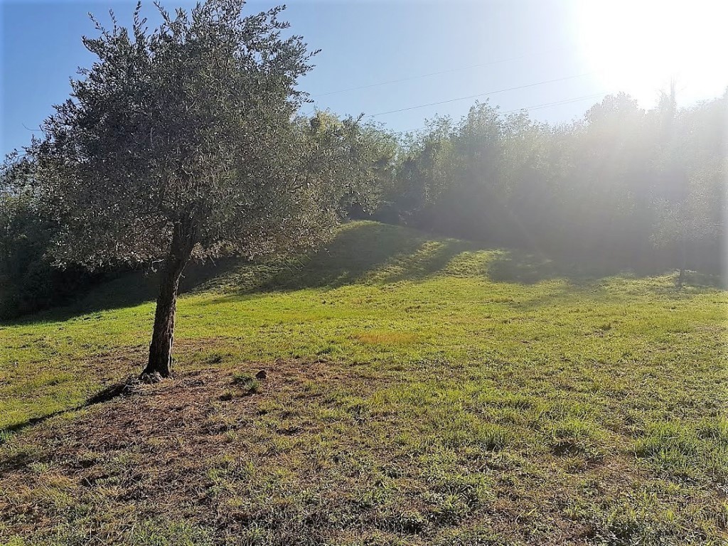 Terreno Agricolo in vendita in via di poggio seconda, Lucca