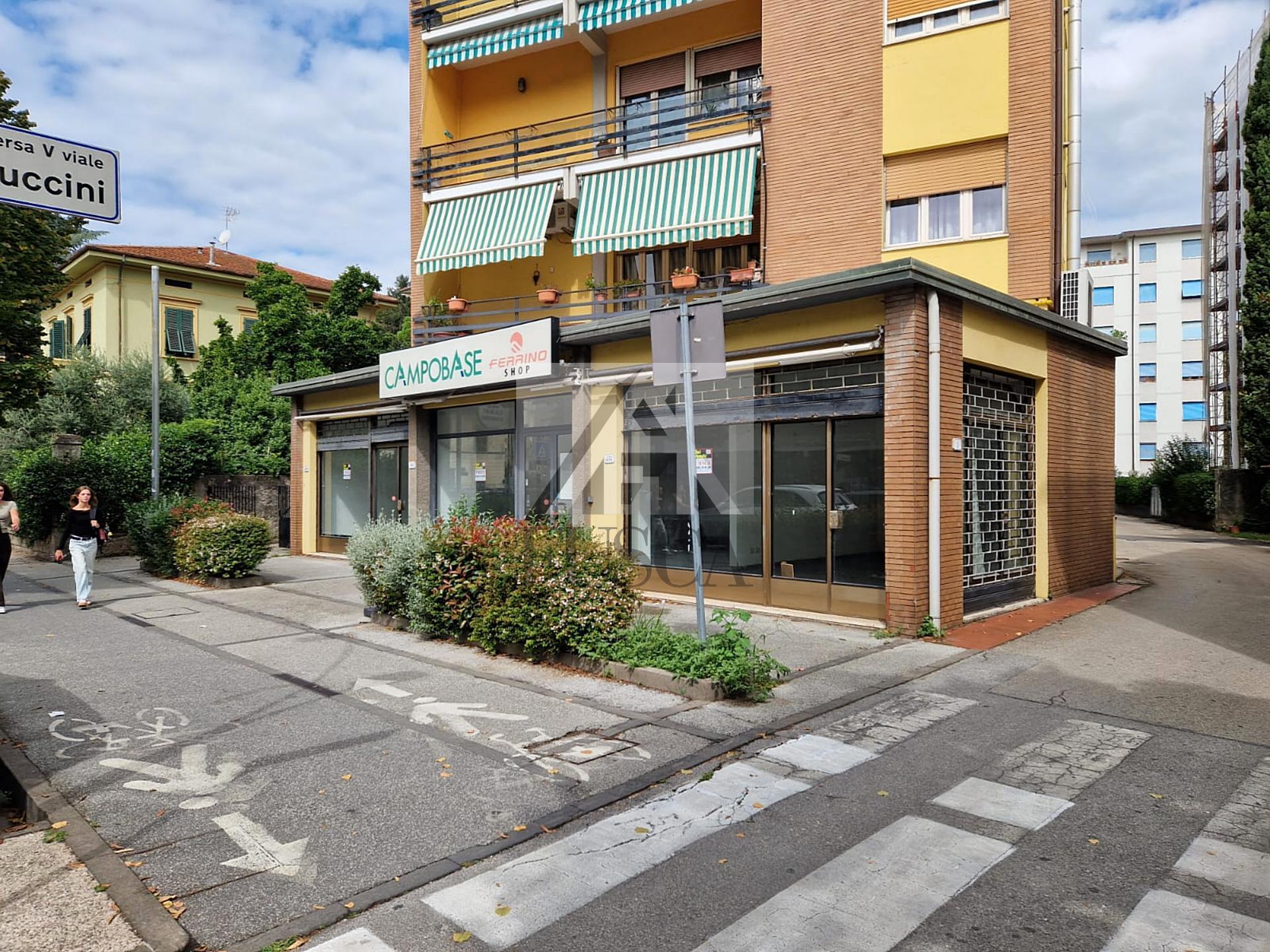 Capannone da ristrutturare in via sant'anna, Lucca