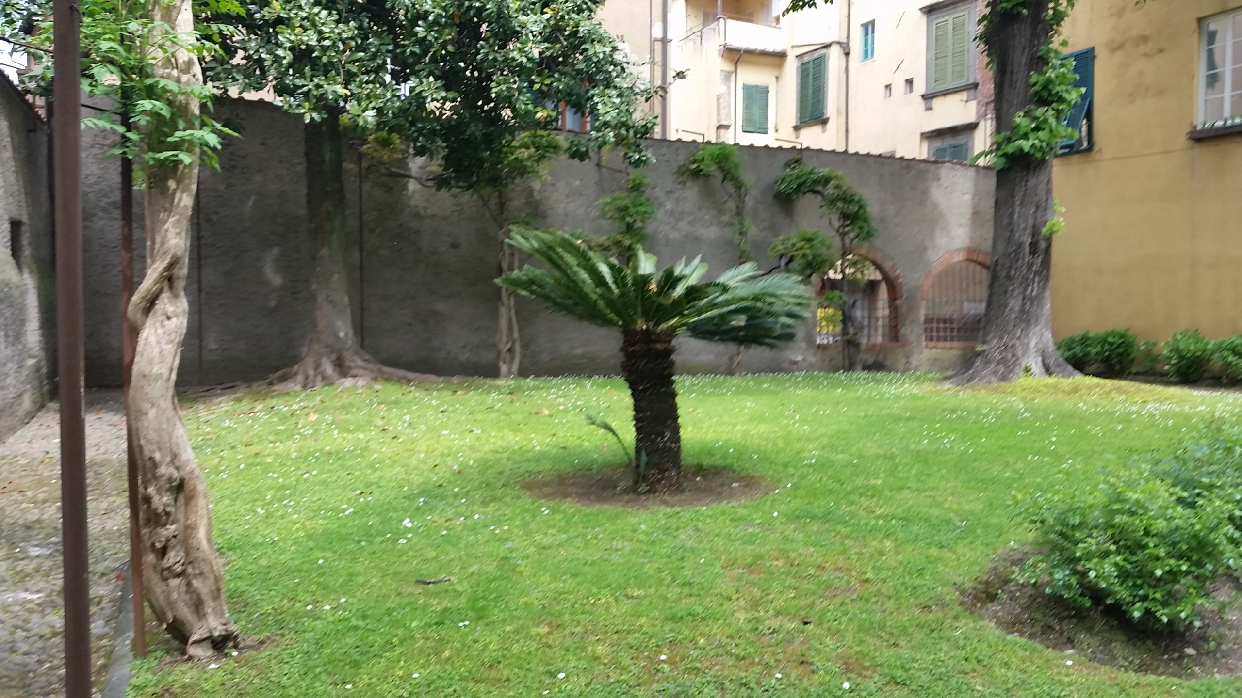 Capannone in affitto in via nuova, Lucca