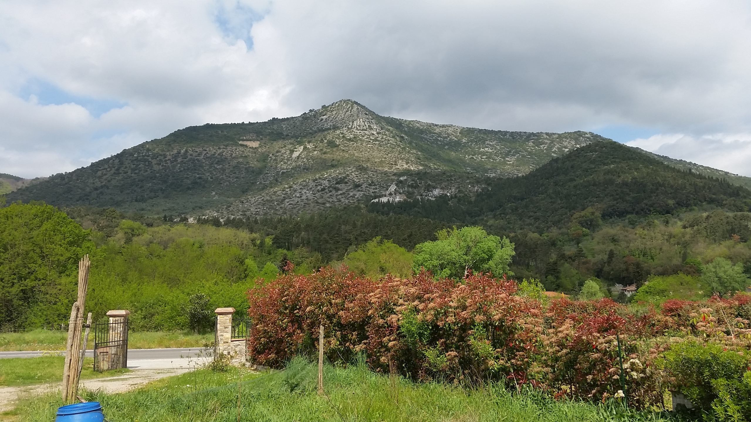 Locale commerciale in affitto in giarinetto, Lucca