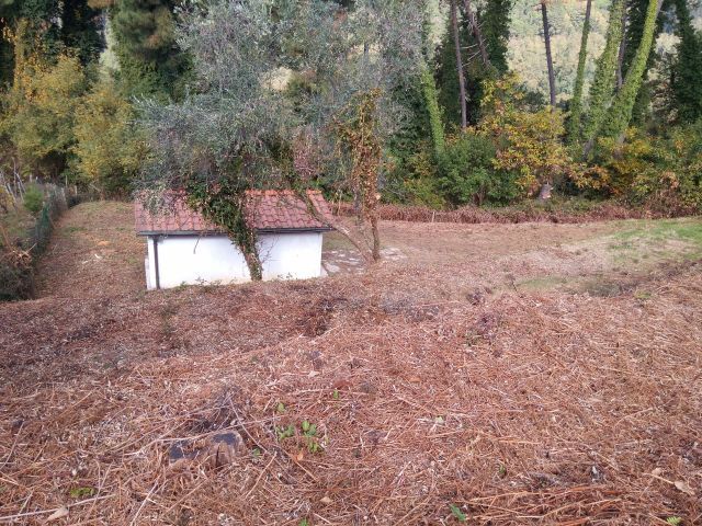 Terreno Agricolo vista mare in via di caroggia, Lucca