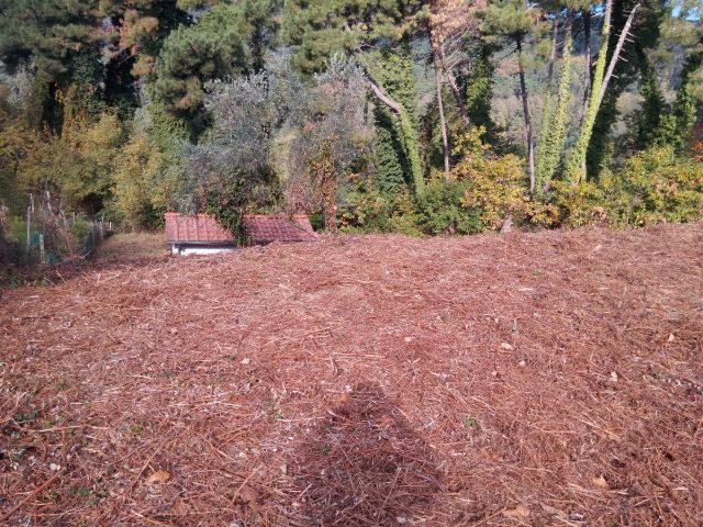 Terreno Agricolo vista mare in via di caroggia, Lucca