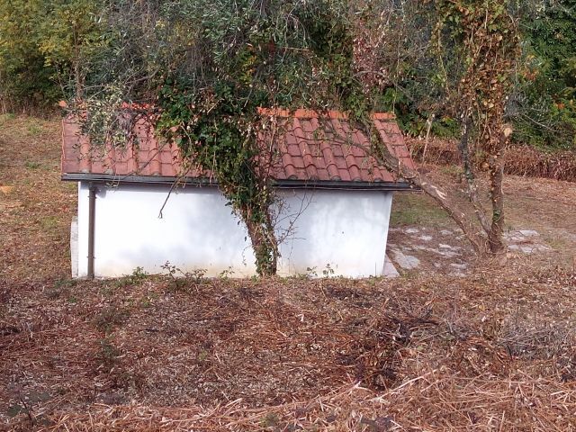 Terreno Agricolo vista mare in via di caroggia, Lucca