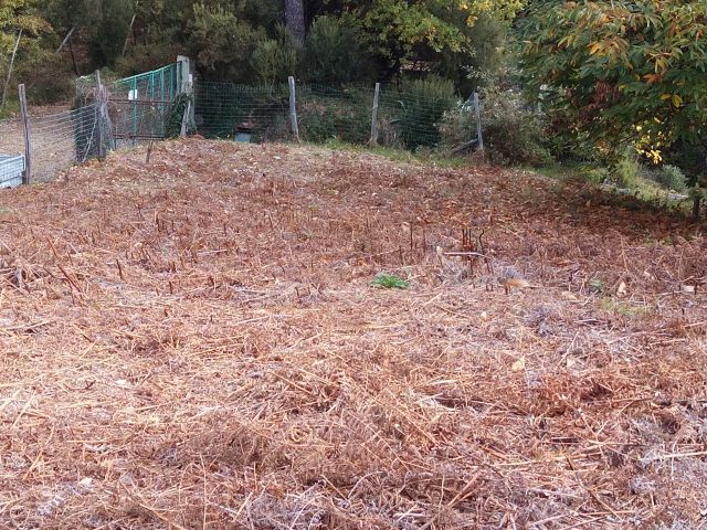 Terreno Agricolo vista mare in via di caroggia, Lucca