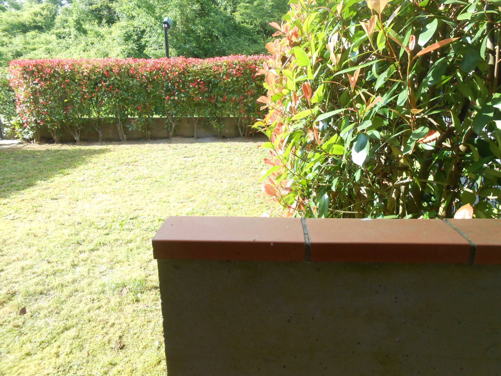 Appartamento con giardino in via per chiatri, Lucca