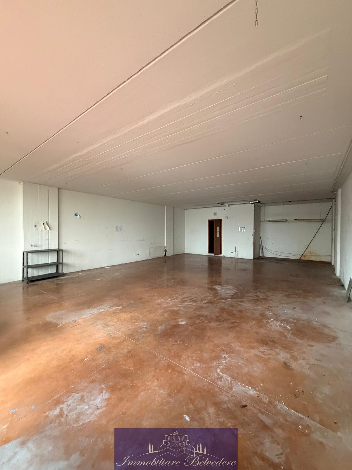 Capannone in affitto in via codignola, Scandicci