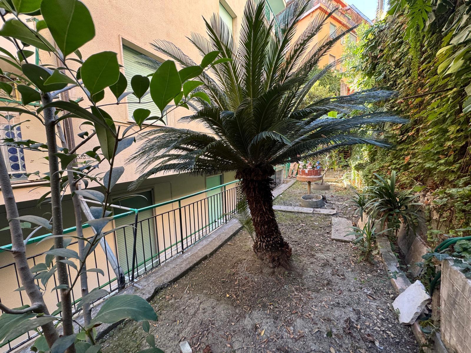 Quadrilocale con giardino in via zeffiro massa 96, San Remo