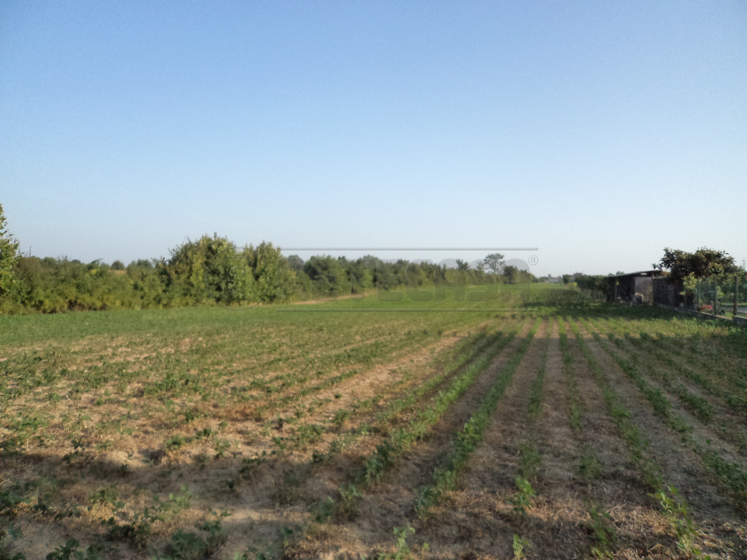 Terreno Edificabile in vendita a Villanova di Camposampiero