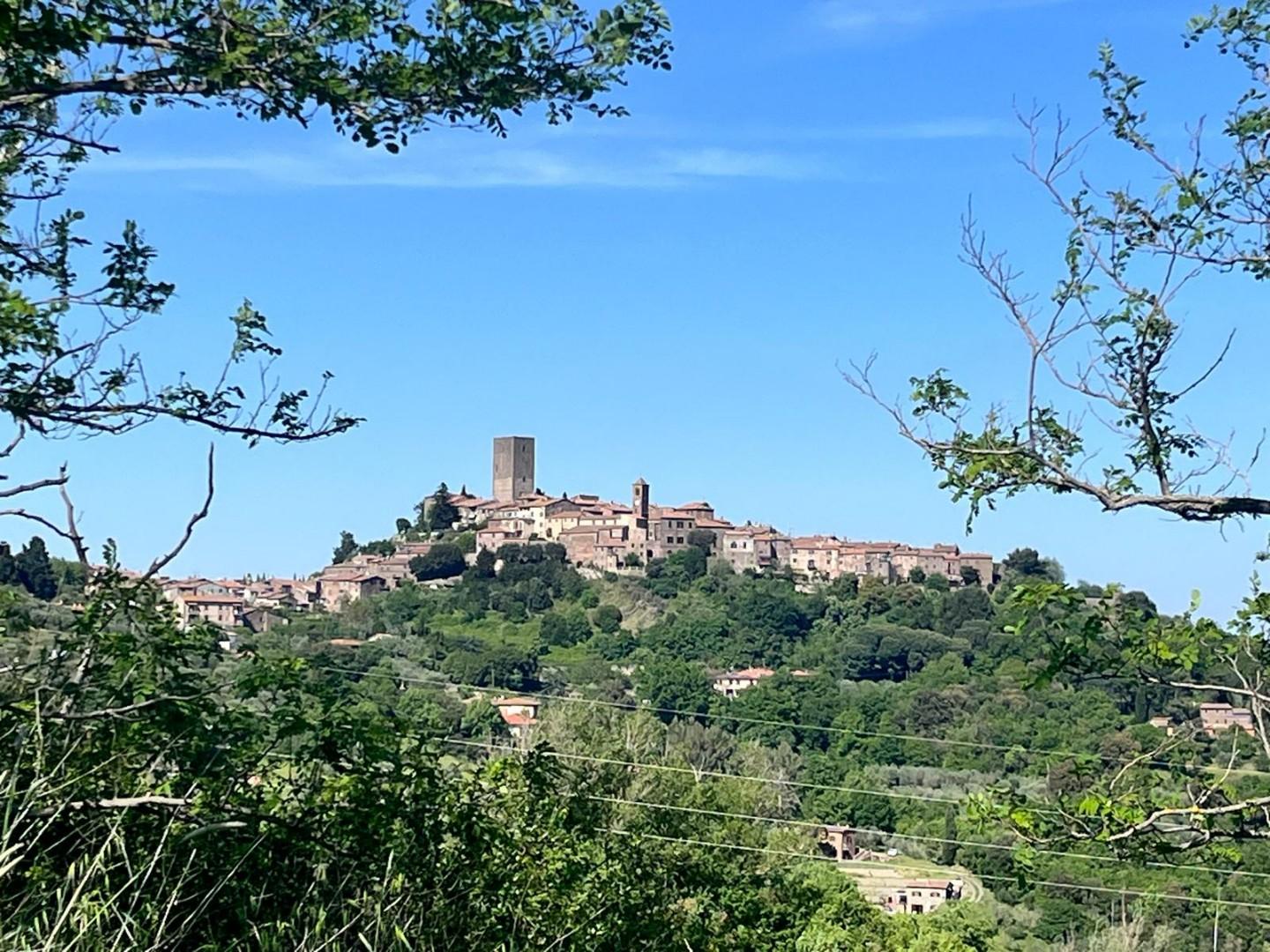 Appartamento con giardino a Montecatini Val di Cecina