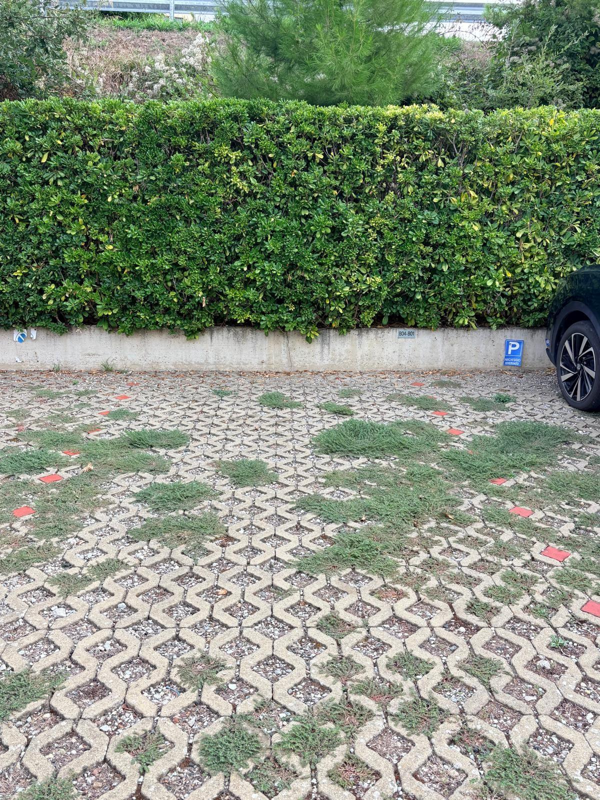 Quadrilocale in vendita a Guardistallo