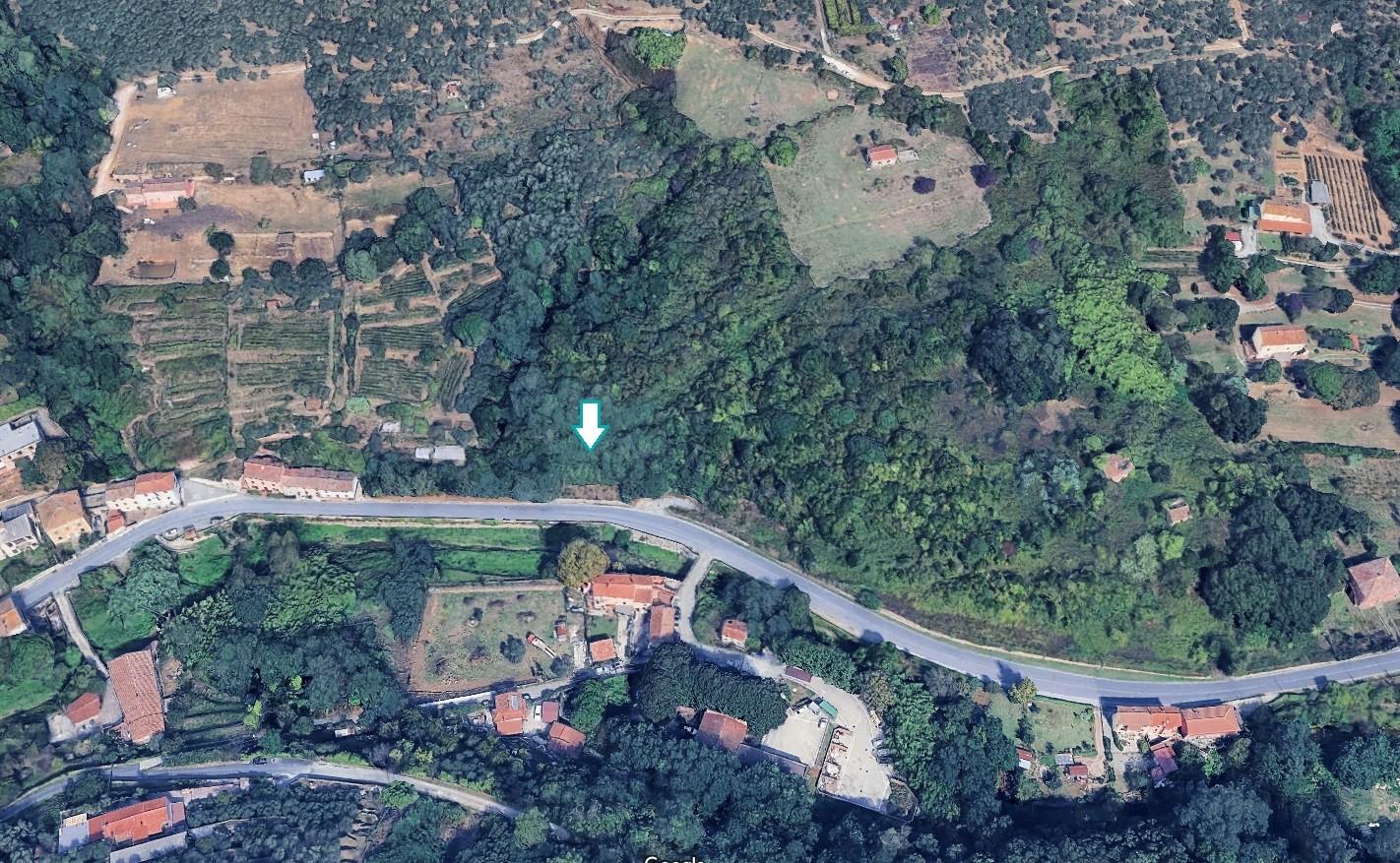 Terreno Edificabile in vendita a Buti