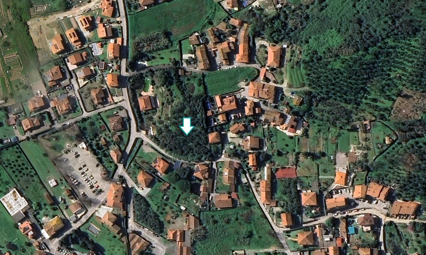 Terreno Agricolo in vendita, Massarosa bozzano