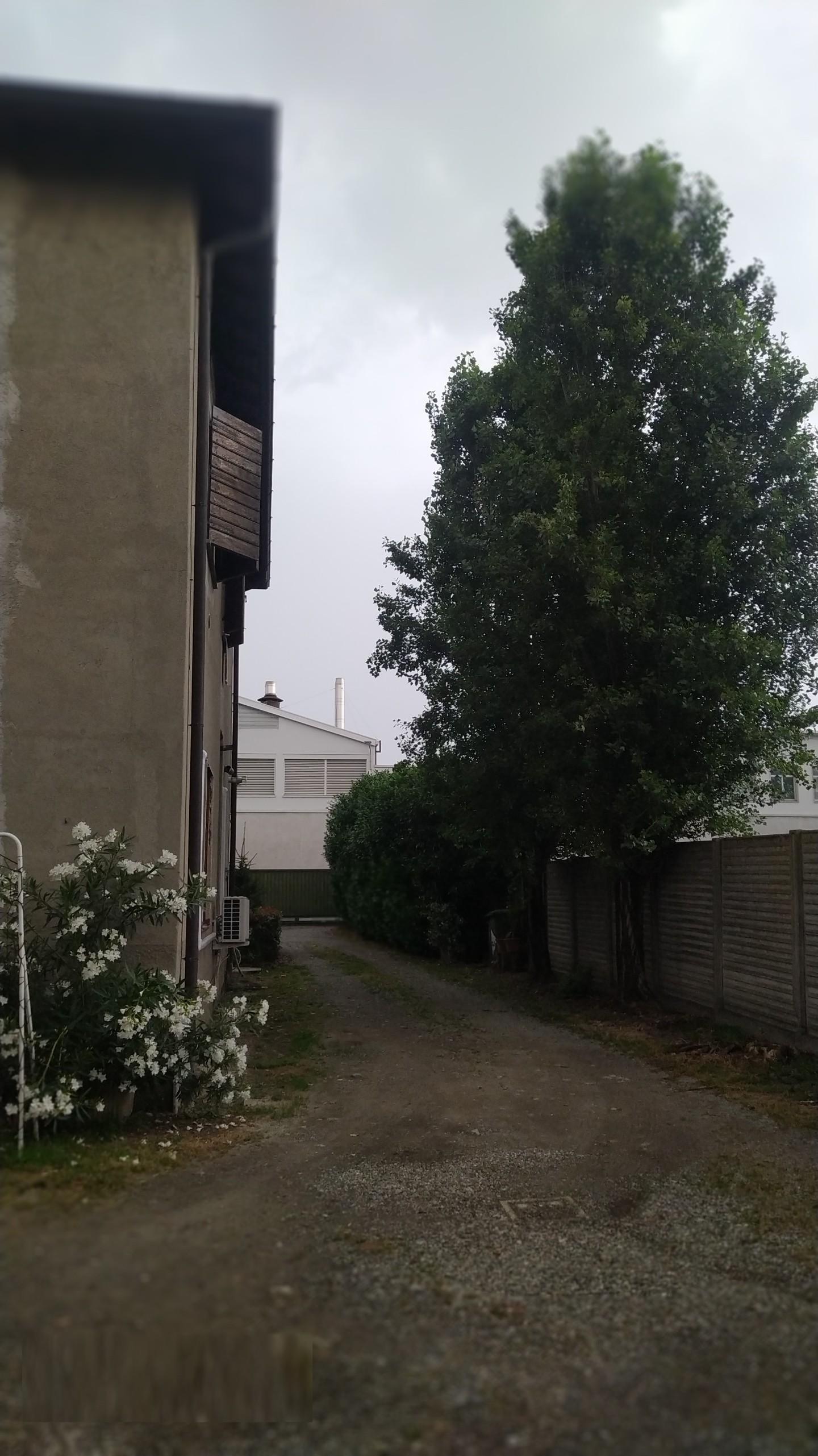 immagine annuncio 1 di 3