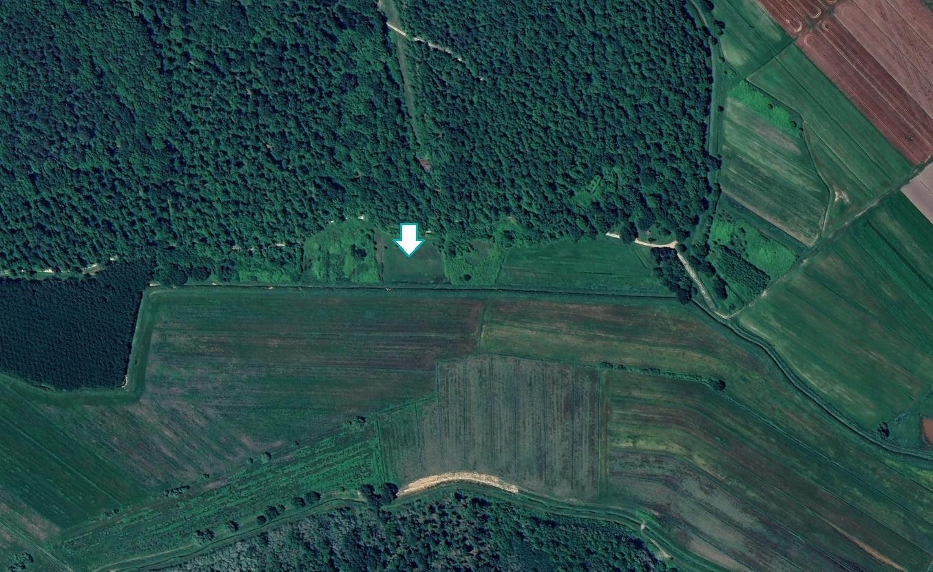Terreno Agricolo in vendita a Bientina