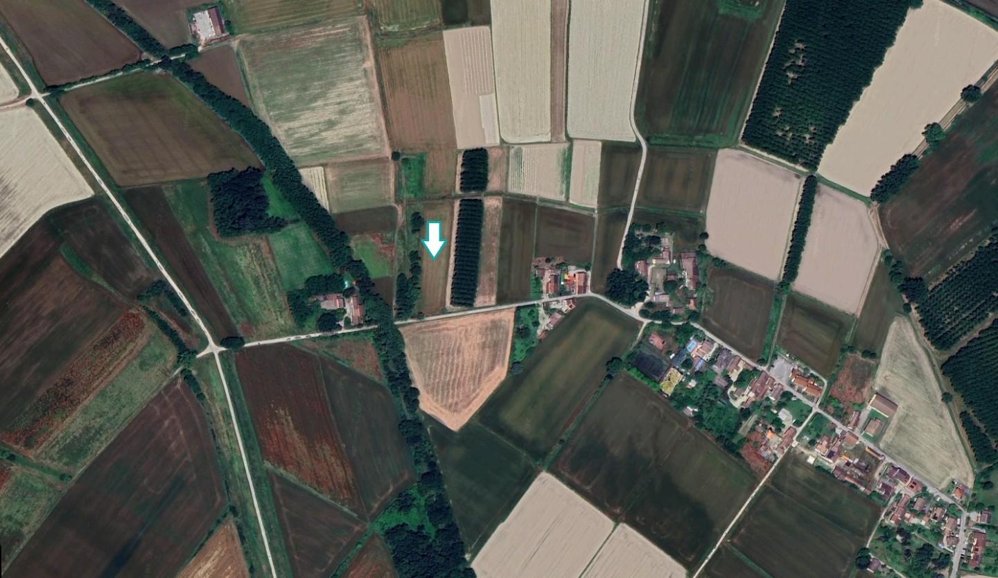 Terreno Agricolo in vendita a Travac Siccomario