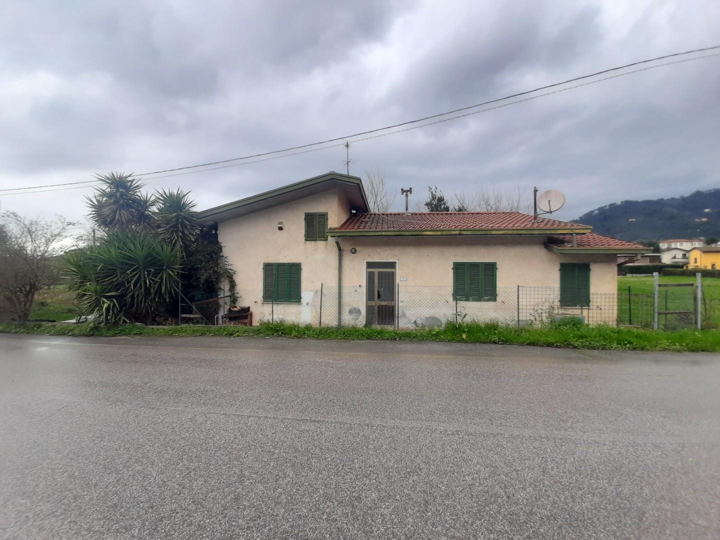 immagine annuncio 0 di 2