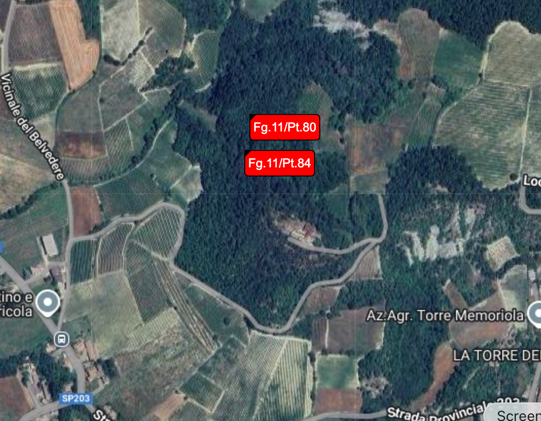 Terreno Agricolo in vendita a Borgoratto Mormorolo