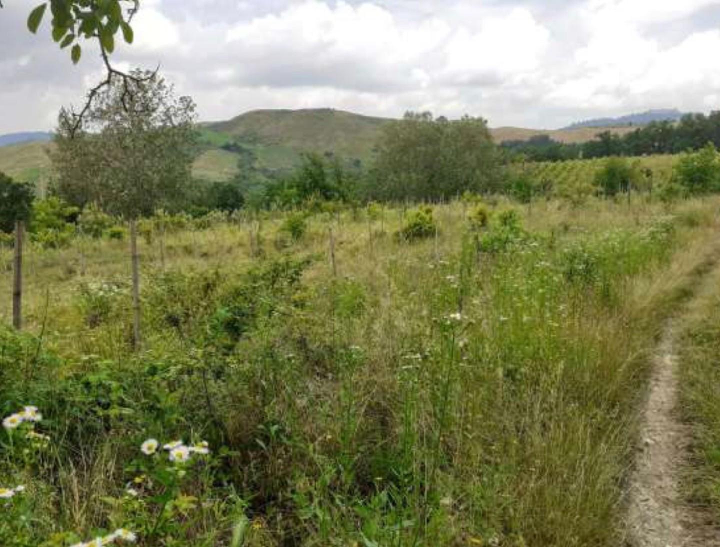 Terreno Agricolo in vendita, Borgoratto Mormorolo gabbione