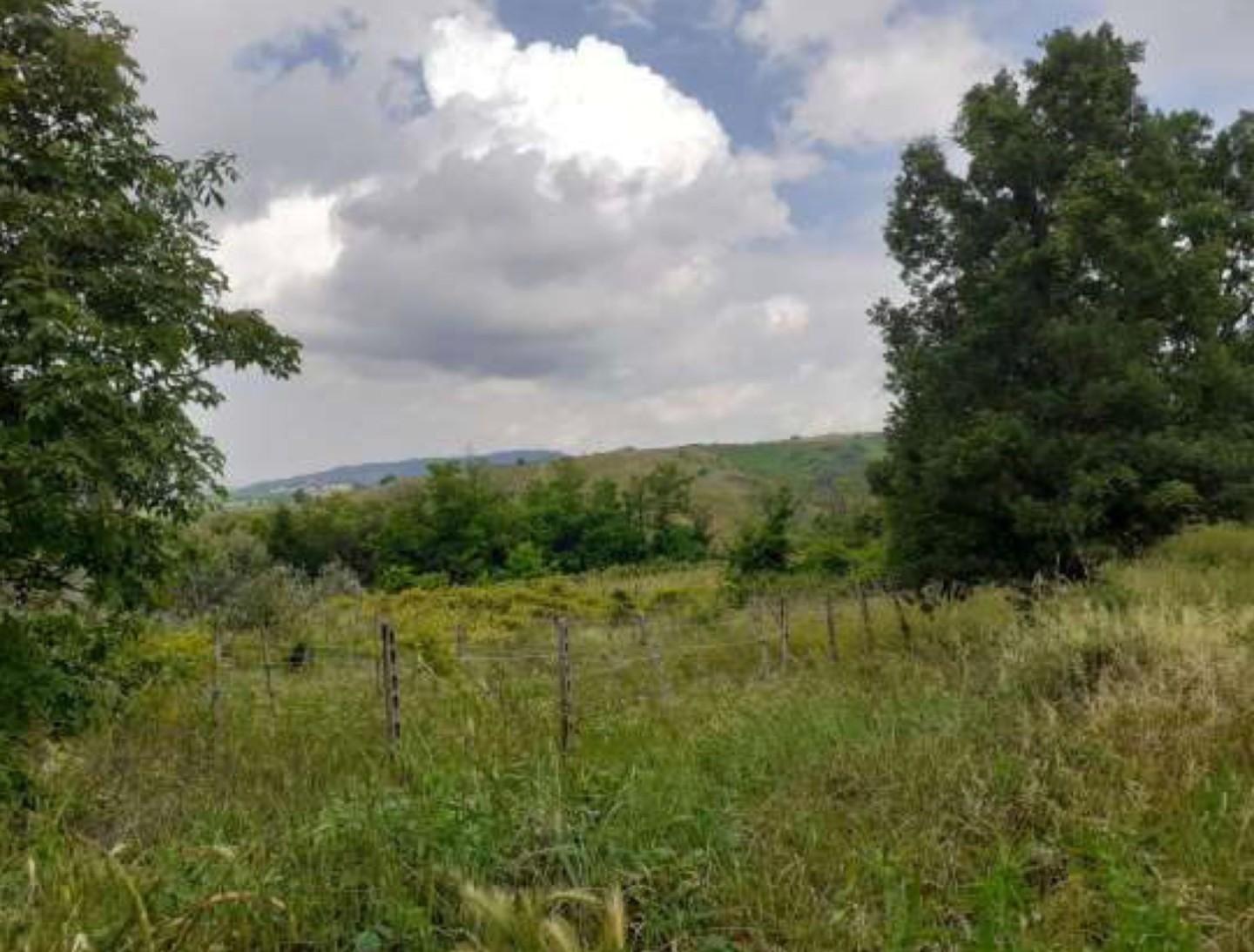 Terreno Agricolo in vendita, Borgoratto Mormorolo gabbione