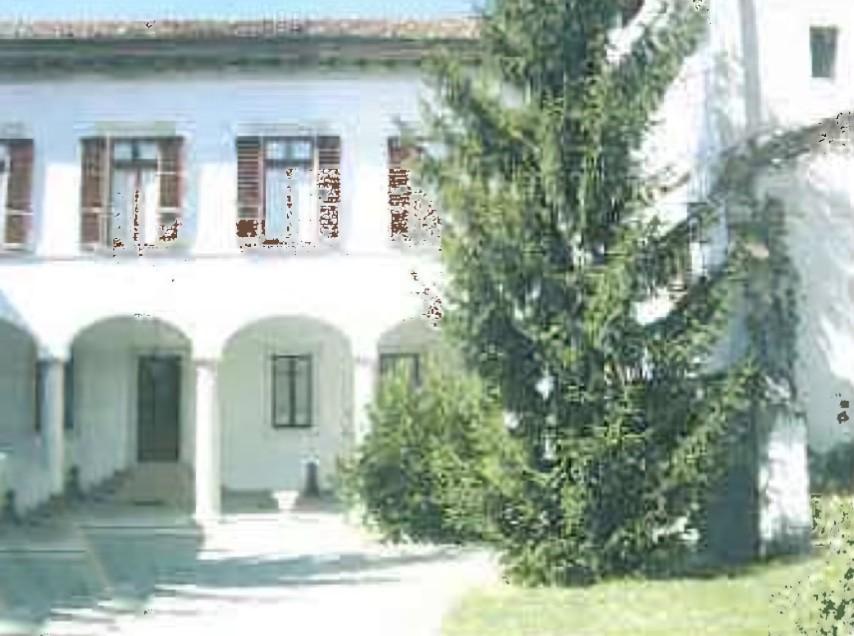 Villa in vendita a Arena Po