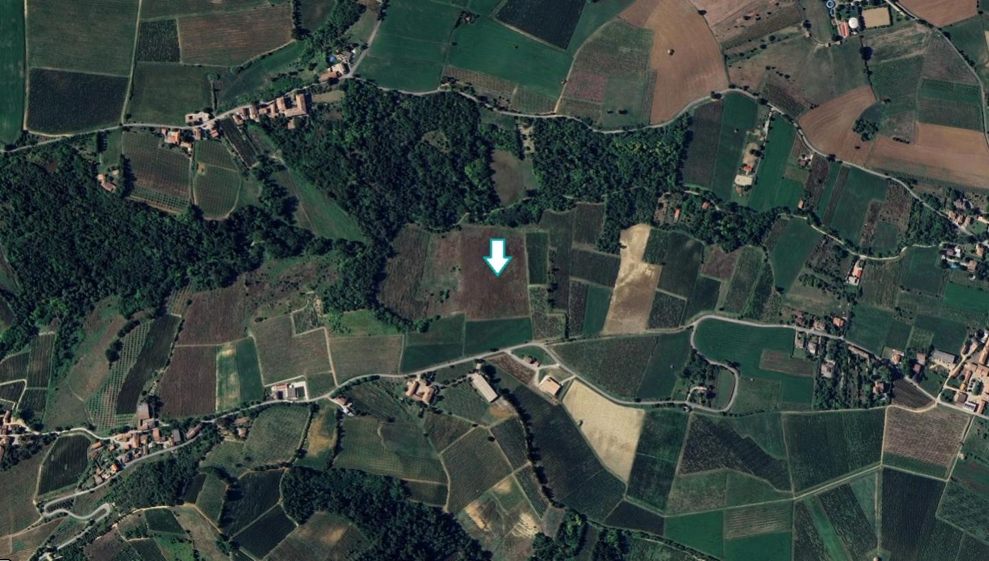 Terreno Agricolo in vendita a Codevilla