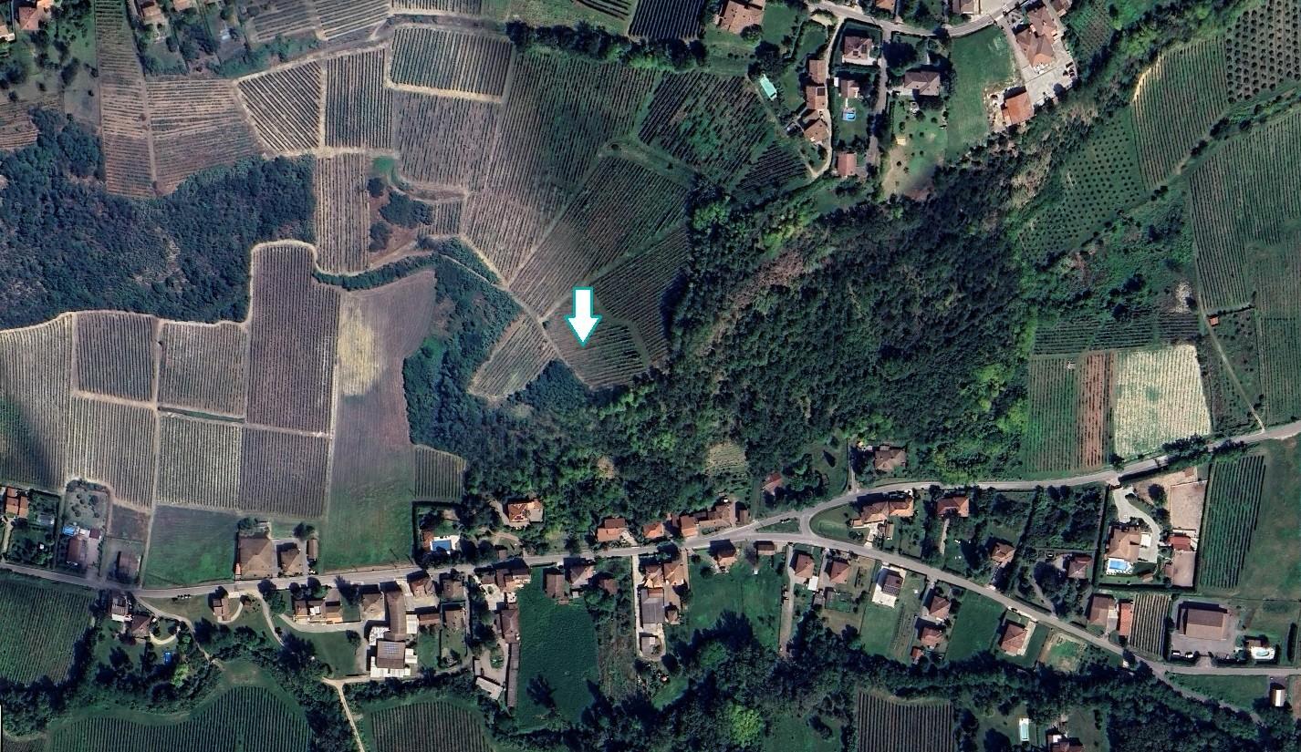 Terreno Agricolo in vendita a Mornico Losana