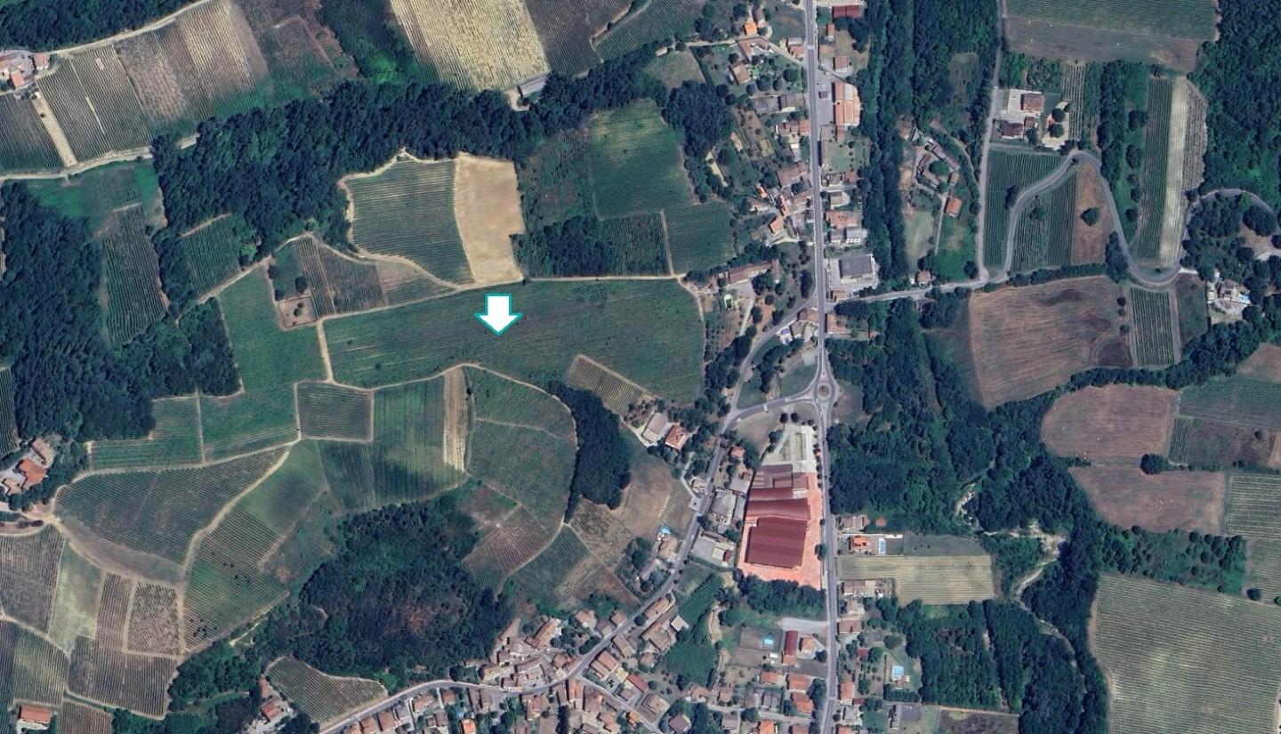 Terreno Agricolo in vendita a Montescano