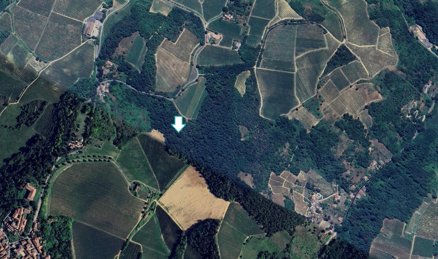 Terreno Agricolo in vendita a Santa Giuletta