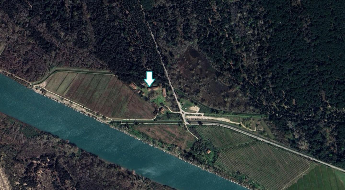 Attivit� commerciale in vendita a Vecchiano