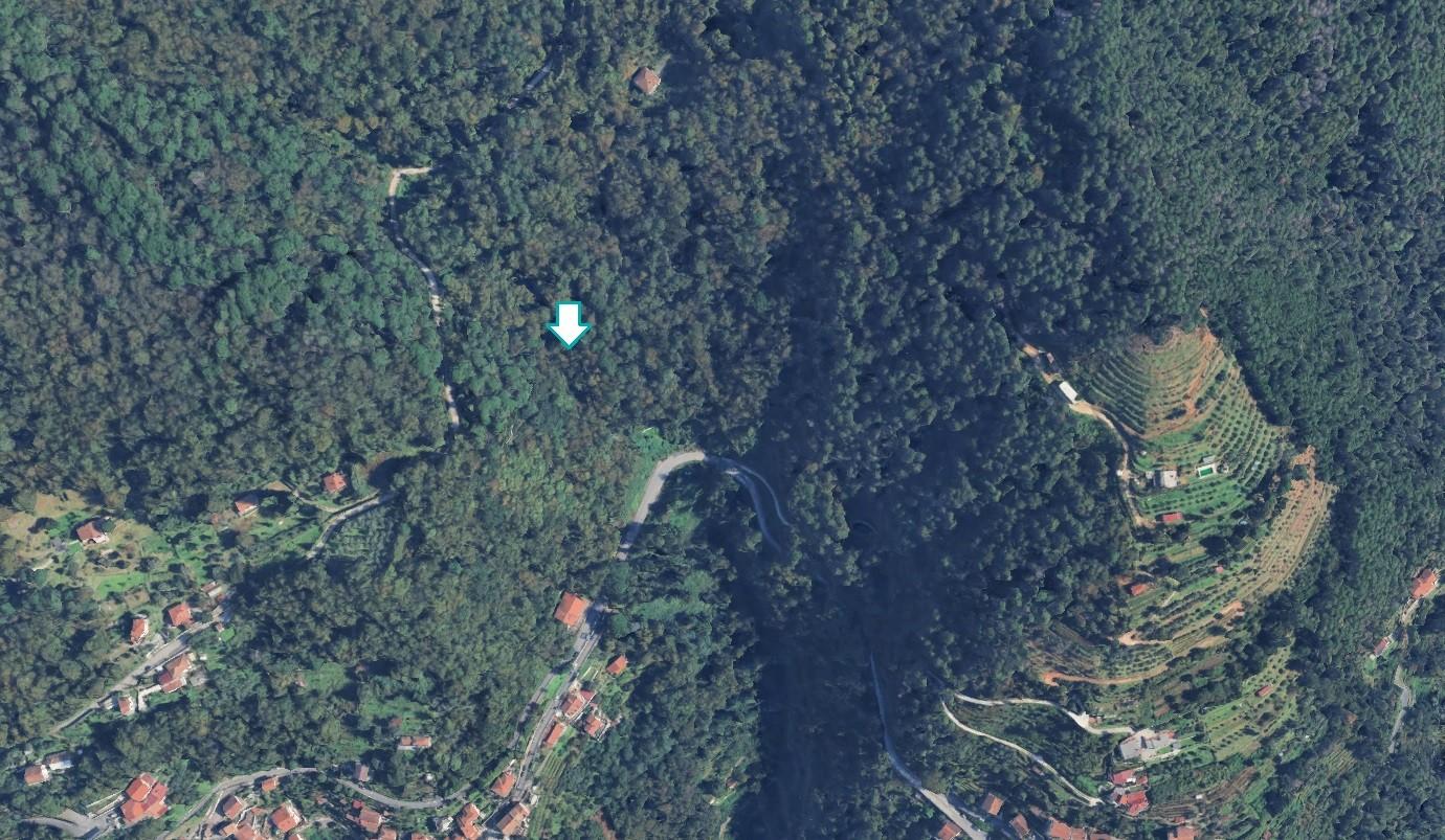Terreno Agricolo in vendita a Massa