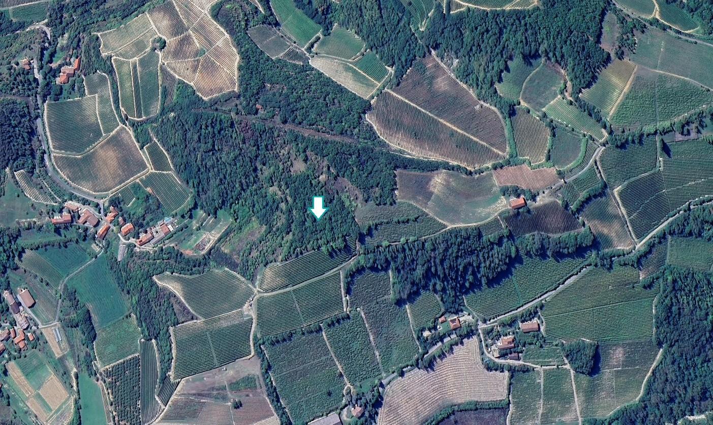 Terreno Agricolo in vendita a Terzo