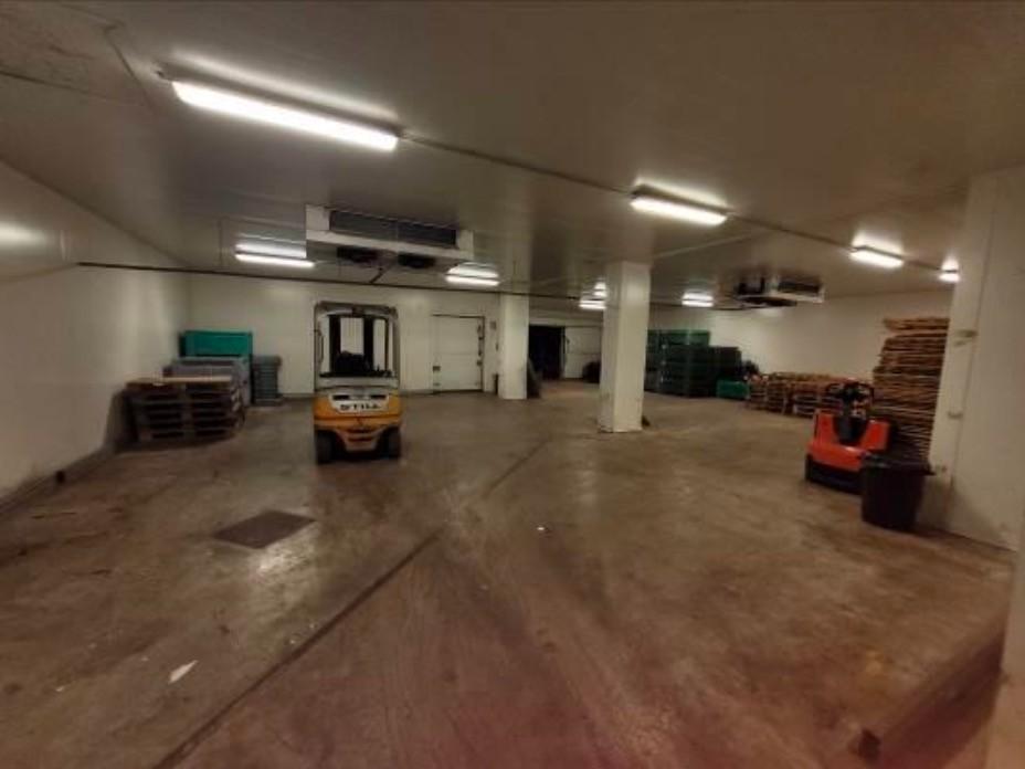 Capannone in vendita a Alessandria