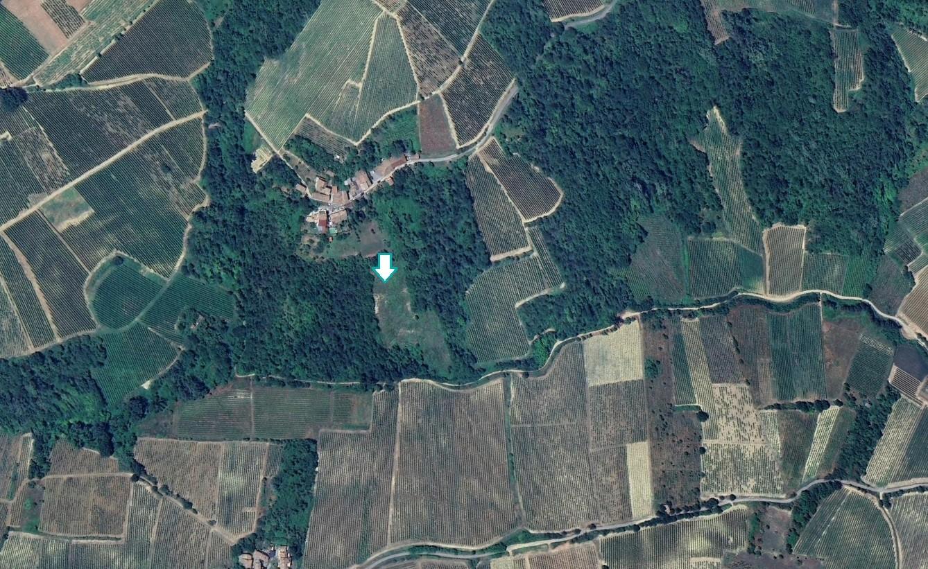 Terreno Agricolo in vendita a Santa Giuletta