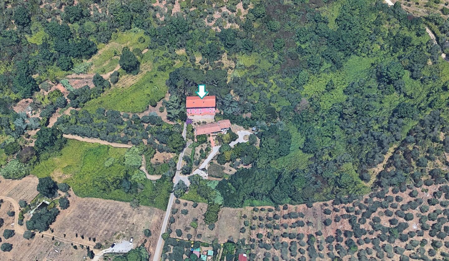 Appartamento in vendita, Vecchiano filettole