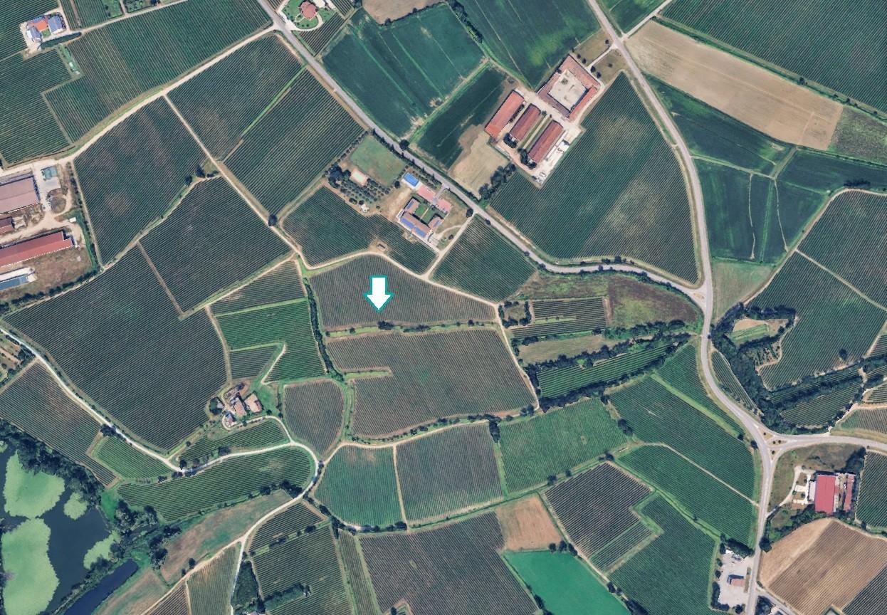 Terreno Agricolo in vendita a Pozzolengo