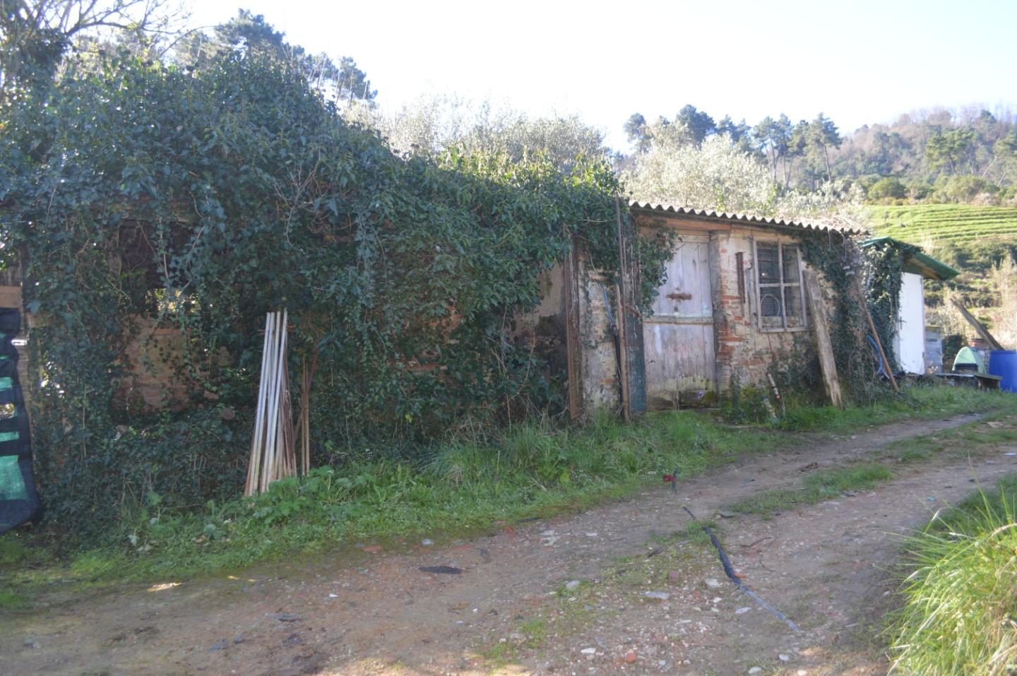 Casa vacanza Monolocale da ristrutturare a Camaiore