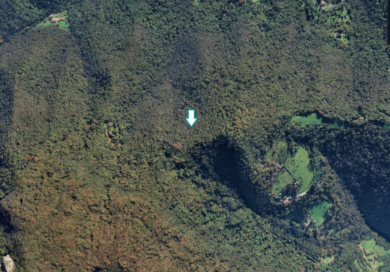 Terreno Agricolo in vendita a Pradalunga