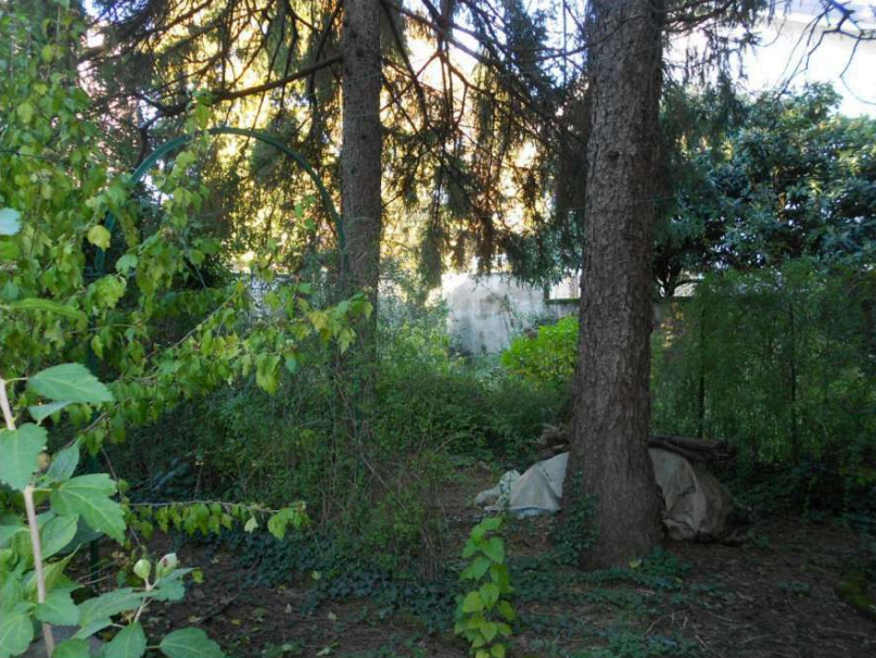 Villa con giardino a Saronno