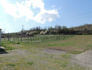 Casa indipendente in vendita a Cigognola
