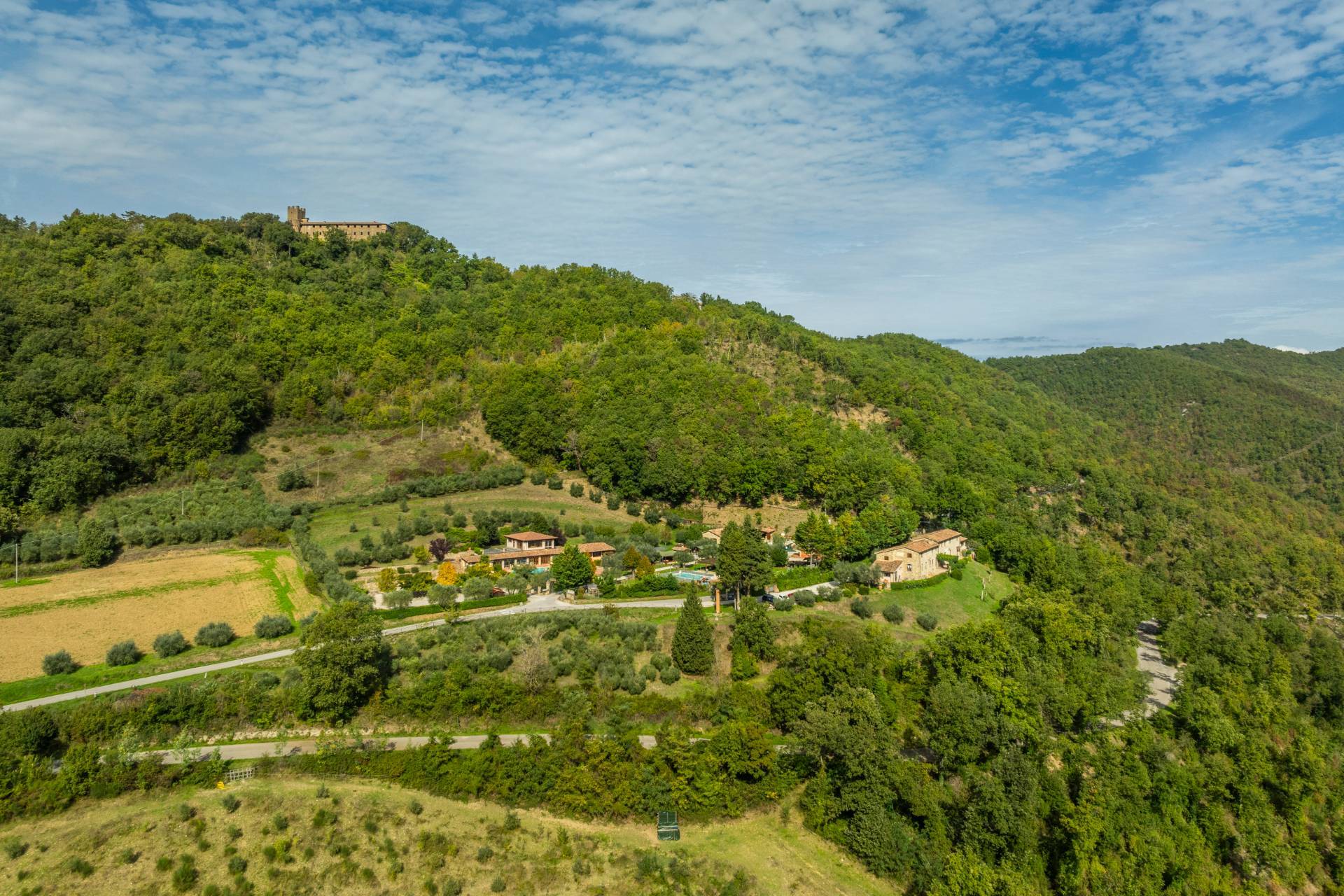immagine annuncio 2 di 6