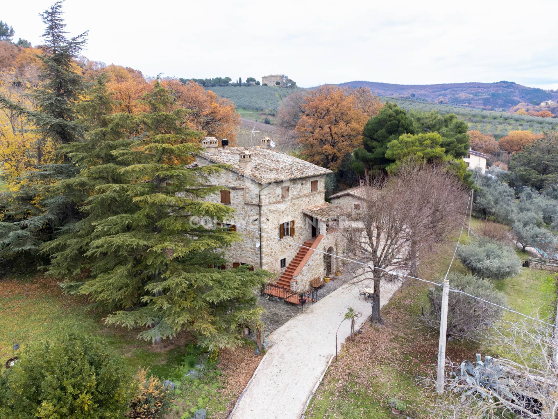 immagine annuncio 3 di 6