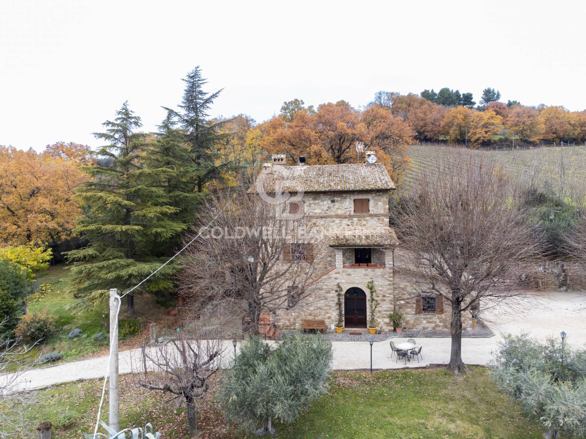immagine annuncio 4 di 6