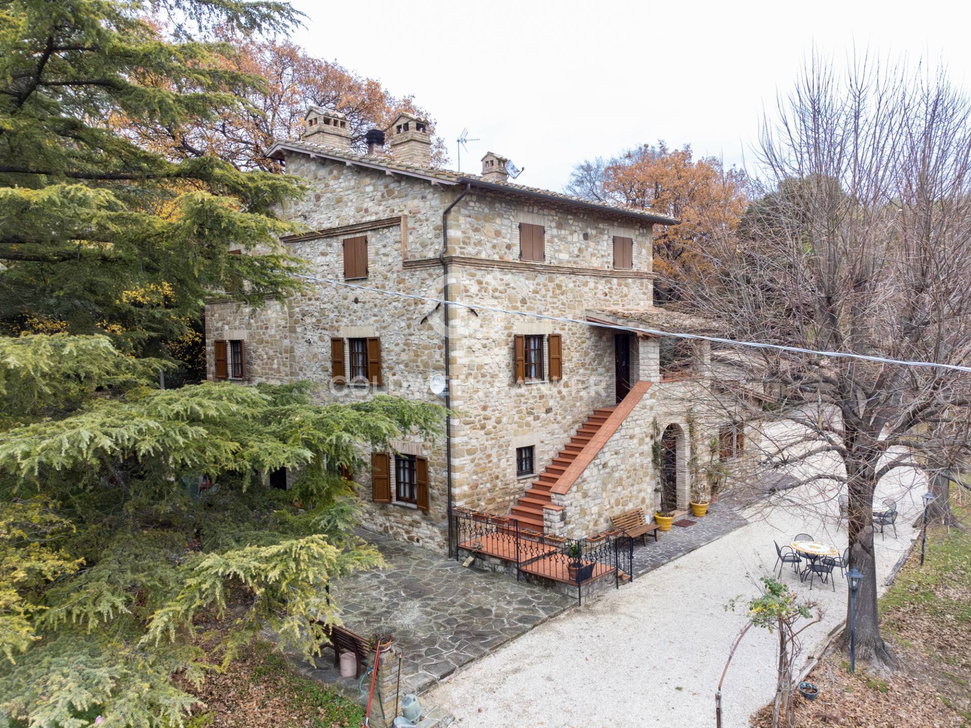 immagine annuncio 5 di 6