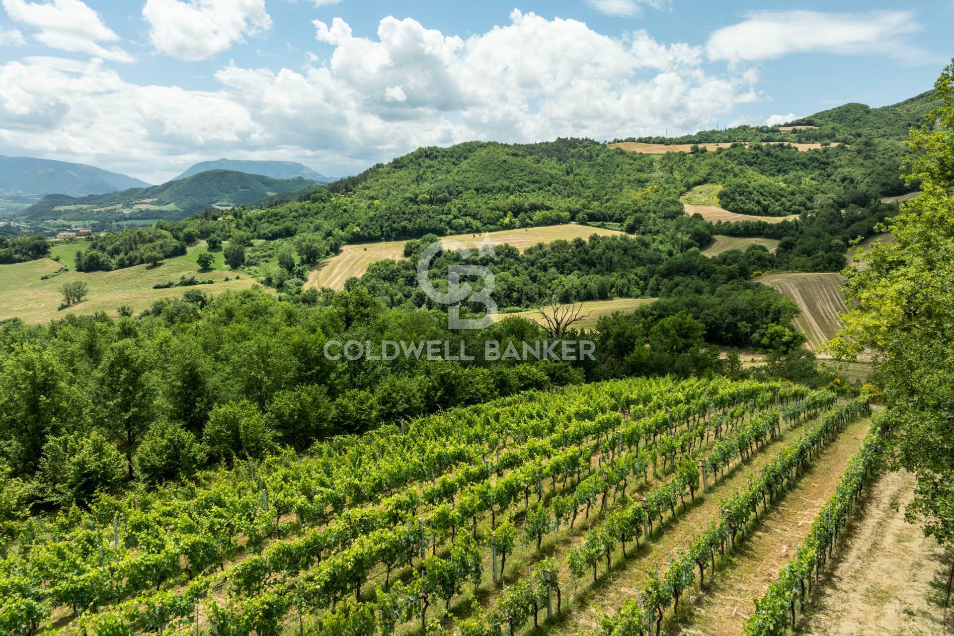 Rustico/Casale/Corte in vendita a Acqualagna